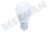 Osram 4052899326927 Standaard A40 Frosted E27 5,5W
