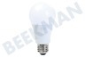 Osram Smart+ Standaardlamp E27 Dimbaar