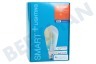 Osram Smart+ Edisonlamp E27 Dimbaar