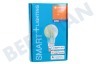 Osram Smart+ Standaardlamp E27 Dimbaar