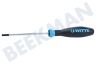 Witte 98909 Protop II T25 M4 Torx Schroevendraaier