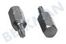 Witte 4295032 Bitjes 1/4 inch 25mm Torx T10, 5 stuks