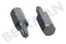 Witte 4295042 Bitjes 1/4 inch 25mm Torx T15, 5 stuks
