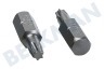 Witte 4295052 Bitjes 1/4 inch 25mm Torx T20, 5 stuks