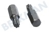 Witte 4295062 Bitjes 1/4 inch 25mm Torx T25, 5 stuks