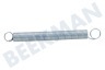 ELU 760295-01 Feder von Sägeblattschutz