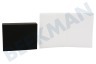 Electrolux Staubsauger Filter Schwamm, Staubtank