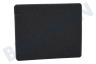Aeg electrolux Stofzuiger 1180215012 Filter