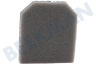 Electrolux Stofzuiger Filter
