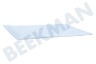 Siemens Stofzuiger 633485, 00633485 Filter Uitblaasfilter