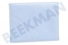 Siemens Stofzuiger 633485, 00633485 Filter Uitblaasfilter
