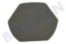 Bosch Stofzuiger 12012937 Schuimfilter