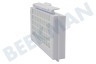 Bosch Stofzuiger Filter Hepa filter 195x85x25mm