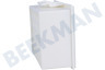 Bosch Stofzuiger Filter High Performance Hygiene