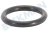 Nilfisk Hogedruk O-ring Afdichting 7x1,2 mm