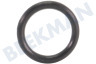 Nilfisk Hogedruk O-ring Afdichting 7x1,2 mm