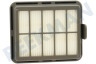 Rowenta Stofzuiger ZR904501 Filter