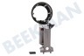 Dyson Staubsauger 970771-01 Dyson Trigger Handgriff
