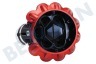 Dyson Stofzuiger 969822-06 Dyson Cycloon V10