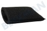 Karcher Stofzuiger Filter Motorfilter