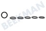 Karcher Hogedruk 6.362-151.0 O-ring 10 x 2 mm.