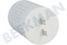 Karcher Hogedruk 9.085-095.0 Condensator 32 uF
