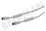 Easyfiks Antenne Kabel Coax - Wit, IEC Male en Female, 2.5 Meter