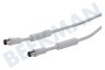 Easyfiks Antenne Kabel Coax - Wit, IEC Male en Female, 10.0 Meter