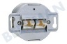 Easyfiks Netwerk Wandcontactdoos 2x RJ45 Female, Opbouw