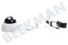 Dahua IPC-SD22204T-GN-W Beveiligingscamera 2 Megapixel HD Wifi mini Dome, 180 graden