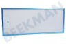 Electrolux Afzuigkap Filter Metaal