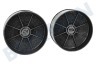 Zanussi Afzuigkap Koolstoffilter ECFB03