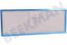 Electrolux Afzuigkap Filter Vetfilter