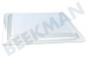 Electrolux Oven-Magnetron Glasplaat Schaal, glasplateau