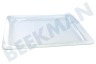 Electrolux Oven-Magnetron Glasplaat Schaal, glasplateau