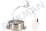 Zanussi Afzuigkap 4055308243 LED-spot