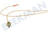 Indesit Fornuis 52986, C00052986 Thermokoppel van kookplaat