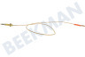 Indesit Fornuis 52986, C00052986 Thermokoppel van kookplaat
