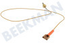 Indesit Fornuis 52986, C00052986 Thermokoppel van kookplaat