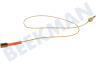 Indesit Fornuis 52986, C00052986 Thermokoppel van kookplaat