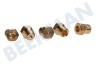 Ariston-Blue Air Fornuis 114463, C00114463 Sproeier Sproeierset Butaan