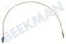 KitchenAid Herd Thermoelement 520mm.