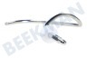 Bosch Keukenmachine 80060, 00080060 Kneedhaak Metaal