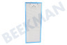 Siemens Afzuigkap Filter Metaal 445 x 175 x 9 mm