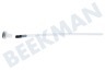 Siemens Kaffeemaschine 632990, 00632990 Schlauch mit Luftfilter