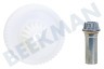 Bosch Keukenmachine 622182, 00622182 Tandwiel Recht tandwiel