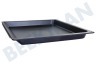 Bosch Ofen-Mikrowelle 17004290 Backblech