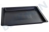 Bosch Ofen-Mikrowelle 17004290 Backblech