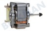 Beltratto Oven-Magnetron 12012871 Motor Van ventilator