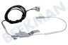 Neff Oven-Magnetron 428192, 00428192 Temperatuur sensor